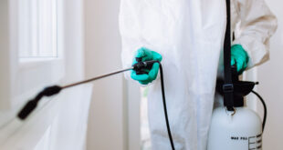 شركة مكافحة حشرات بالقطيف