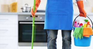 شركات تأجير عمالة منزلية بالجبيل