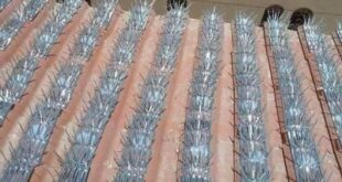 تركيب شبك طارد الحمام بالدوادمى والبجادية