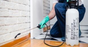 شركة رش النمل الدوادمى والبجاديه