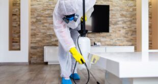 شركة رش مبيدات بالدوادمى وعروى