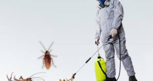 شركة رش حشرات بالدوادمى وساجر