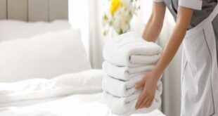 شغالات بالساعة شمال الرياض