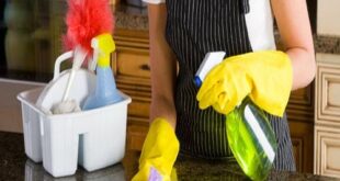 شغاله بالساعه شرق الرياض