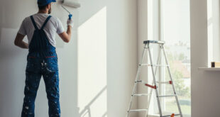 دهان داخلى بالمدينة حى البلقاء