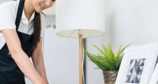 عاملات منزلية بالشهر جدة