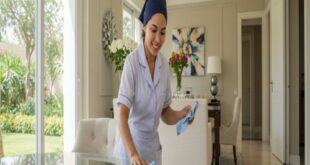 شغالات بالشهر حى الشعلان